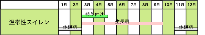 睡蓮（スイレン）におすすめの肥料は？睡蓮の肥料の与え方！ | 農家web