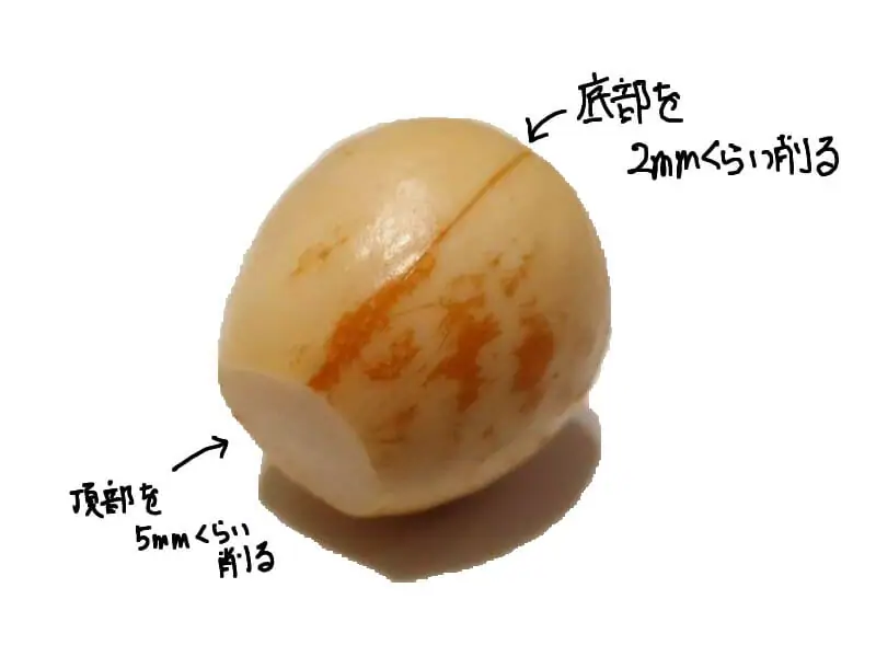 アボカドの種から栽培する アボカドの水耕栽培の方法 農家web