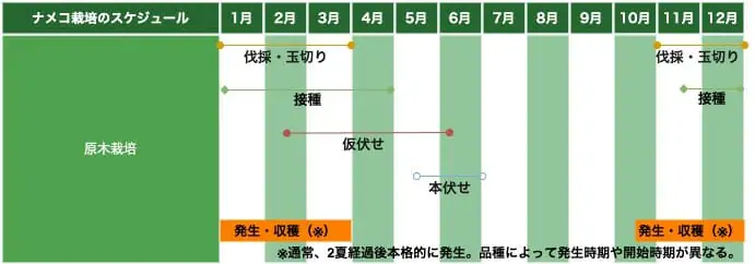 なめこを栽培したい！なめこの基礎知識と原木栽培の基本 | 農家web