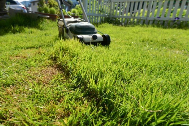 初心者も安心 おすすめ芝刈り機をタイプ別にご紹介 農家web