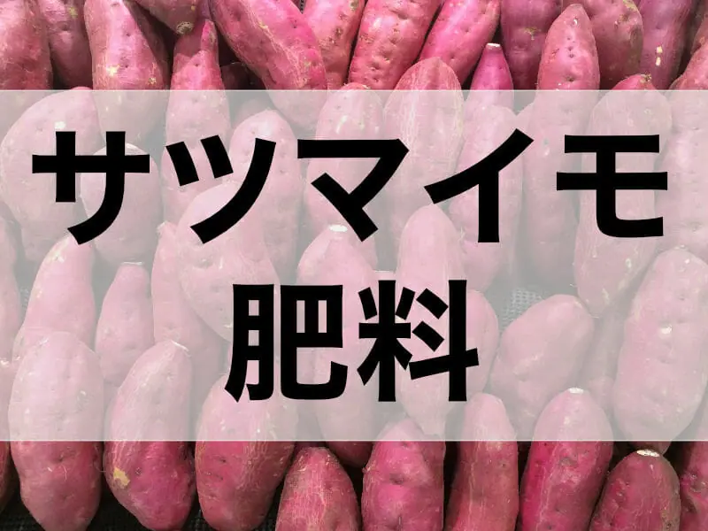 サツマイモ栽培に最適 サツマイモ専用肥料とその使い方 農家web