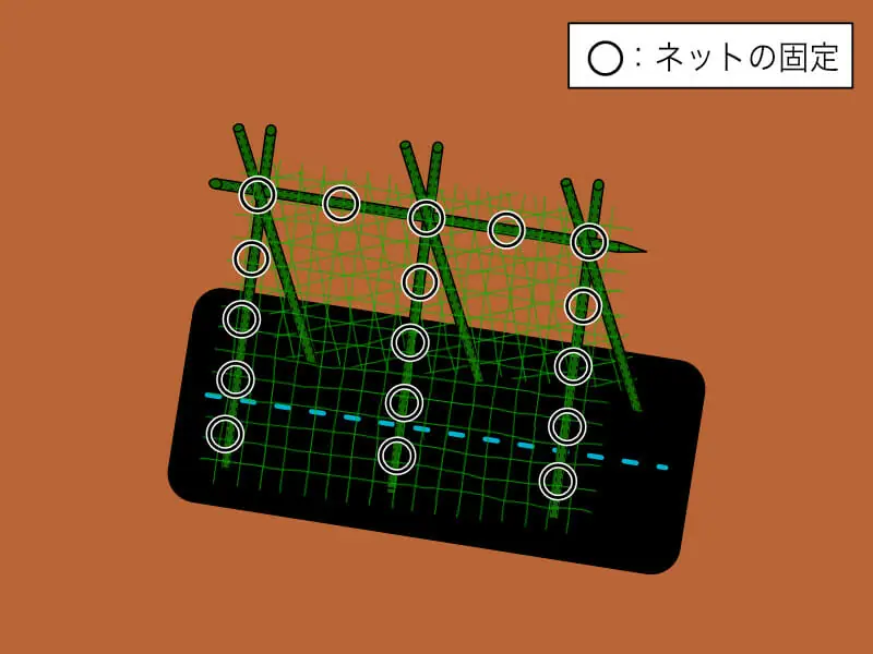 ネットってどう張るの？キュウリ栽培のネットの種類と張り方 | 農家web