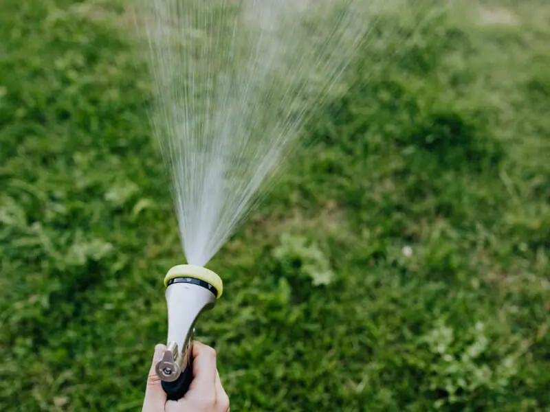 芝生の水やり どのくらいの頻度でやる必要があるの 農家web