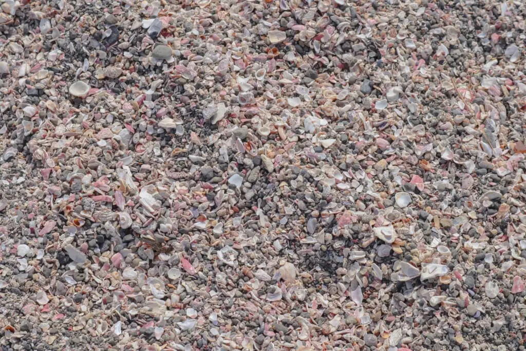 貝殻肥料とは 貝殻 カイガラ 肥料の特長と作り方 おすすめ商品をご紹介 農家web