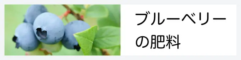 ブルーベリーの肥料のやり方の基本 おすすめ商品まとめ 農家web