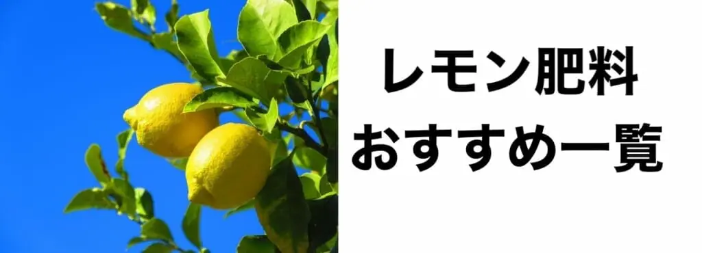 レモンの肥料のやり方の基本 おすすめ商品まとめ 農家web