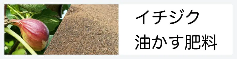 イチジク いちじく の肥料のやり方の基本 おすすめ商品まとめ 農家web