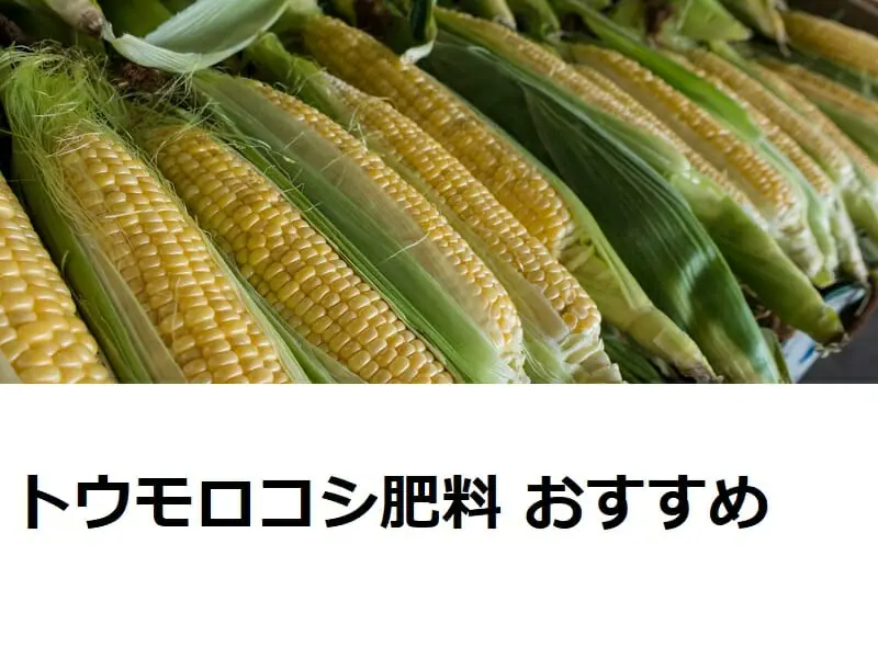 トウモロコシの肥料 おすすめ肥料と与え方のポイント | 農家web