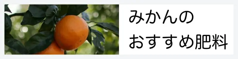 みかん ミカン の肥料のやり方の基本 おすすめ商品まとめ 農家web